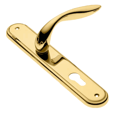 Ручка дверная на планке LEON PL OTL, цвет золото, латунь фото купить в Ульяновске